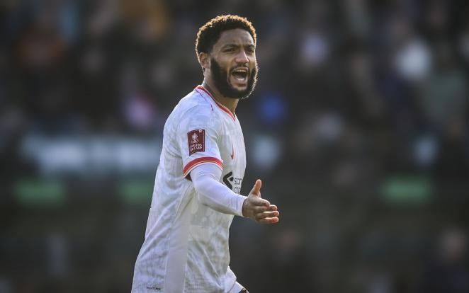 应战弱旅 应战弱旅